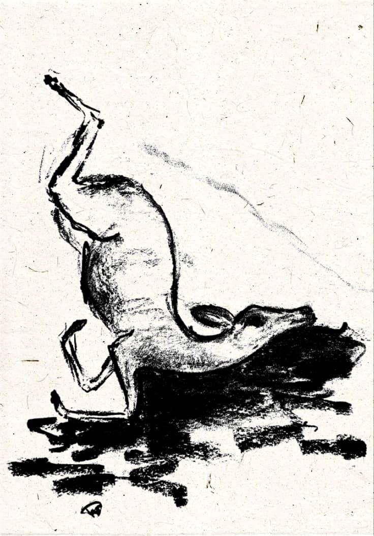 طبعة فنية 12